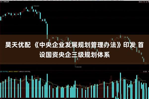 昊天优配 《中央企业发展规划管理办法》印发 首设国资央企三级规划体系