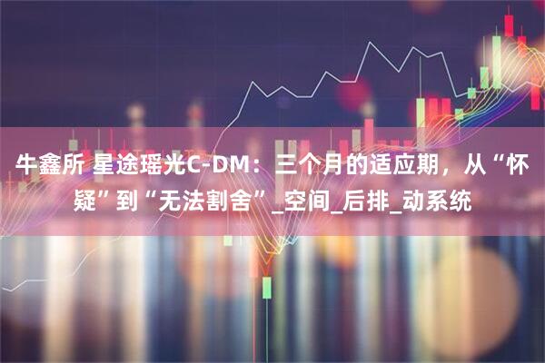 牛鑫所 星途瑶光C-DM：三个月的适应期，从“怀疑”到“无法割舍”_空间_后排_动系统