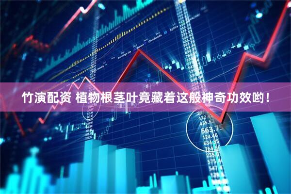 竹演配资 植物根茎叶竟藏着这般神奇功效哟！