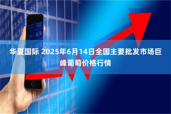 华夏国际 2025年6月14日全国主要批发市场巨峰葡萄价格行情