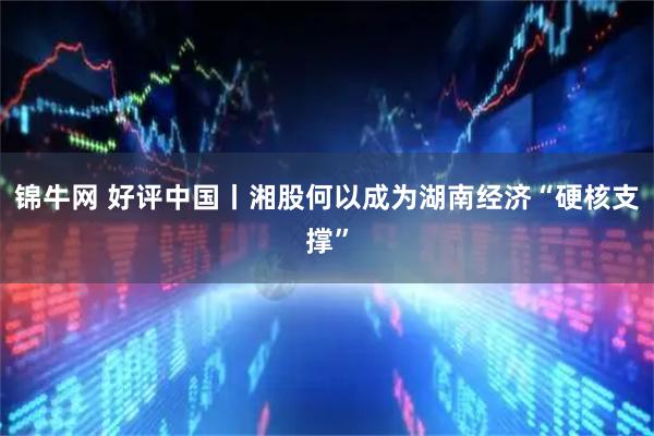锦牛网 好评中国丨湘股何以成为湖南经济“硬核支撑”