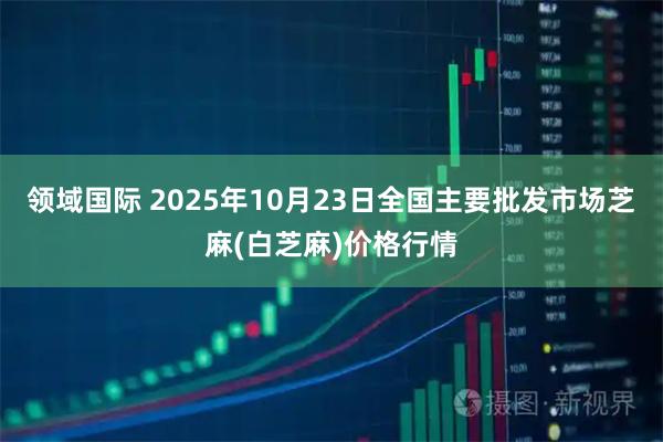 领域国际 2025年10月23日全国主要批发市场芝麻(白芝麻)价格行情