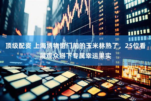 顶级配资 上海博物馆门前的玉米林熟了，25位看展观众掰下专属幸运果实